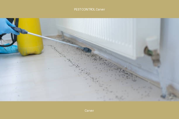 PEST CONTROL Carver
